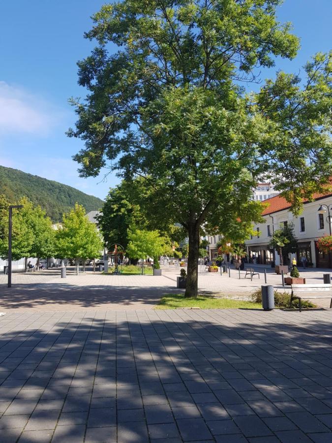 Ferienwohnung Pikk Trenčianske Teplice Exterior foto